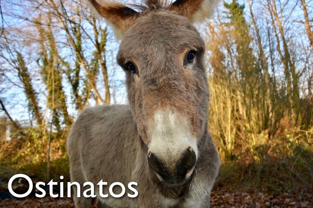 ostinatos in music